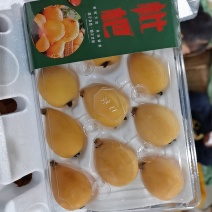 云南蒙自枇杷
