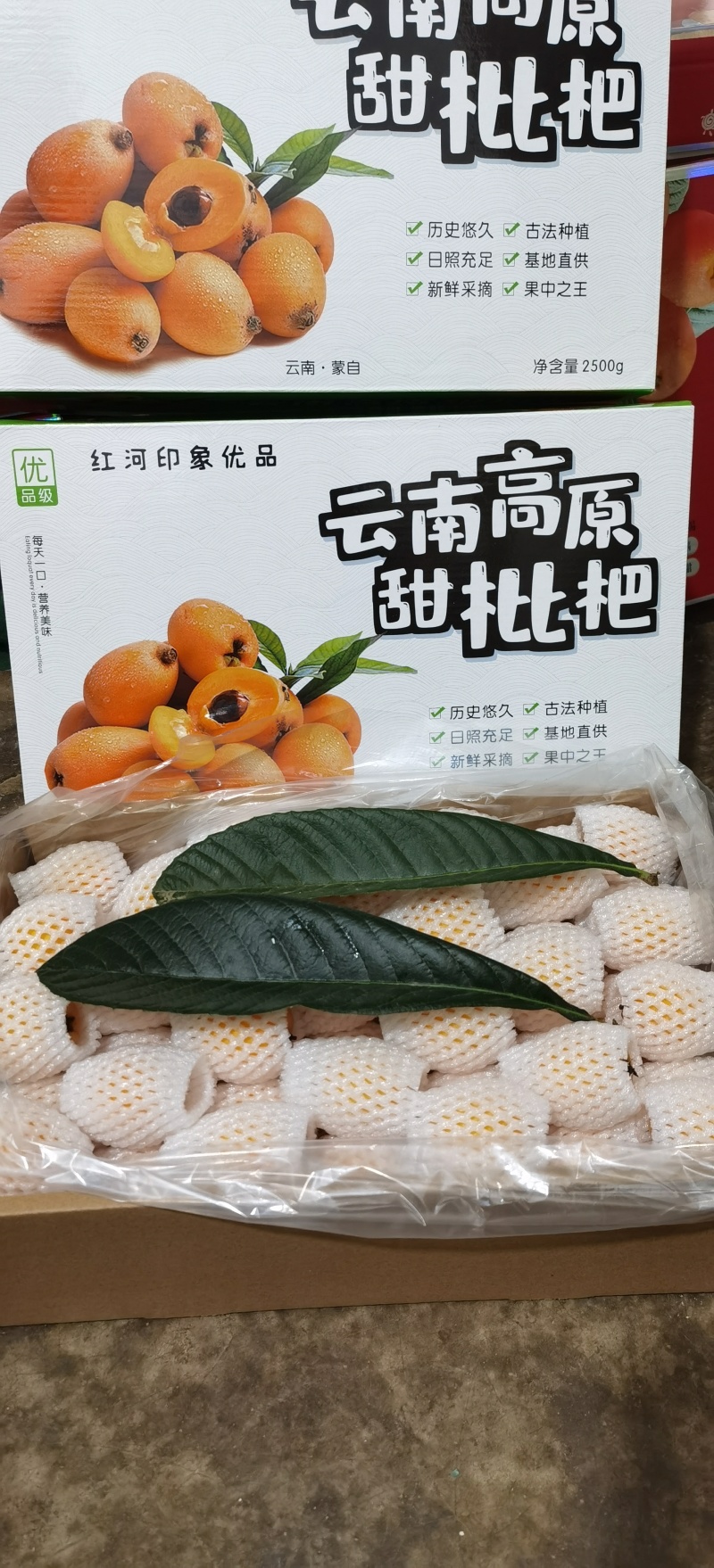 云南蒙自枇杷