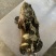 珍珠龙胆石斑鱼~珍珠龙胆石斑鱼1-2斤珍珠龙胆石斑鱼珍珠