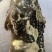 珍珠龙胆石斑鱼~珍珠龙胆石斑鱼1-2斤珍珠龙胆石斑鱼珍珠