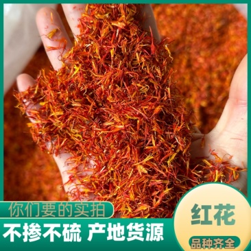 新货红花山东正品红花红花无染色不加重无掺假