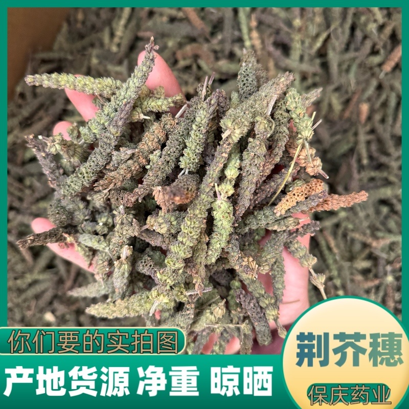 荆芥穗味道浓真实拍摄发货如图香荆芥干净无杂质