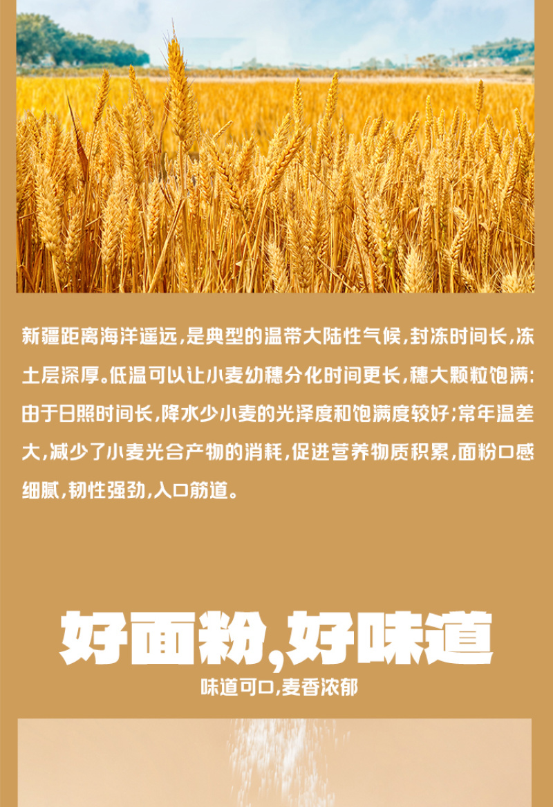 新疆面粉粉质细腻无添加麦香浓郁口感劲道批发零售
