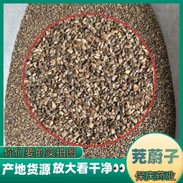茺蔚子茺蔚籽保庆药业批发盗图必究实物拍摄！