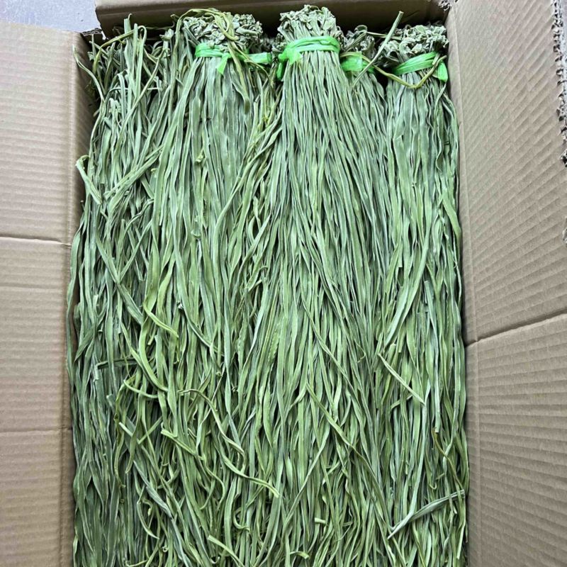 云南贡菜产地直销源头货源批发2025新菜上市欢迎咨询