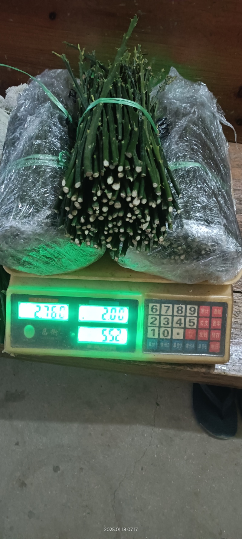 脆皮金桔枝条