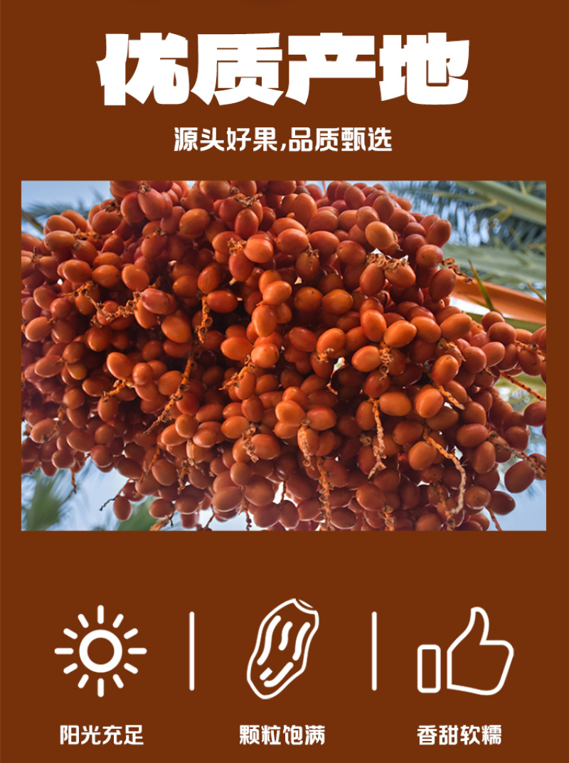 黑椰枣软糯香甜“0”脂肪厂家直销可电商可批发