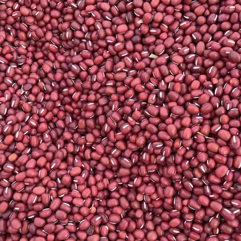 农科园红小豆种子高产抗病早熟赤小豆相思豆豇豆红豆籽农家春