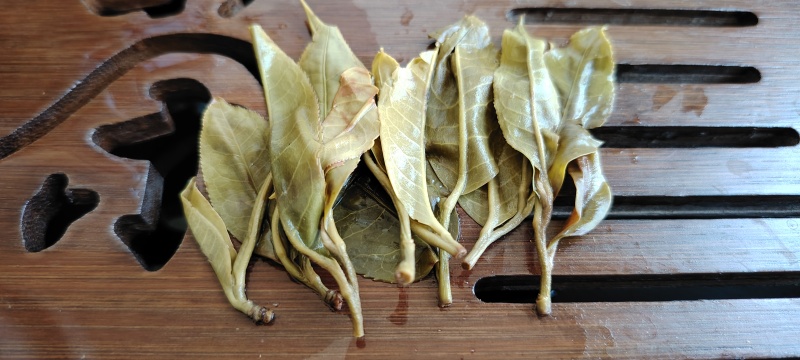 古树普洱茶