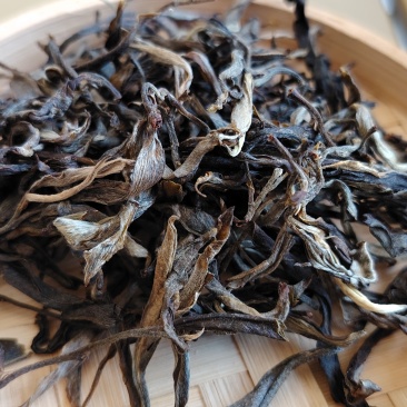 古树普洱茶