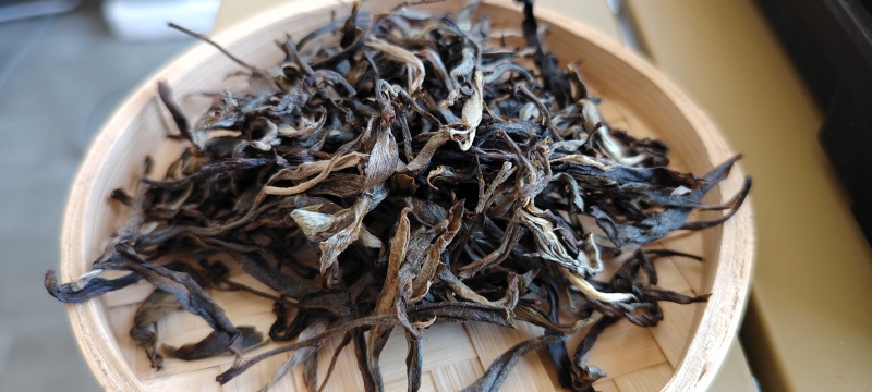 古树普洱茶