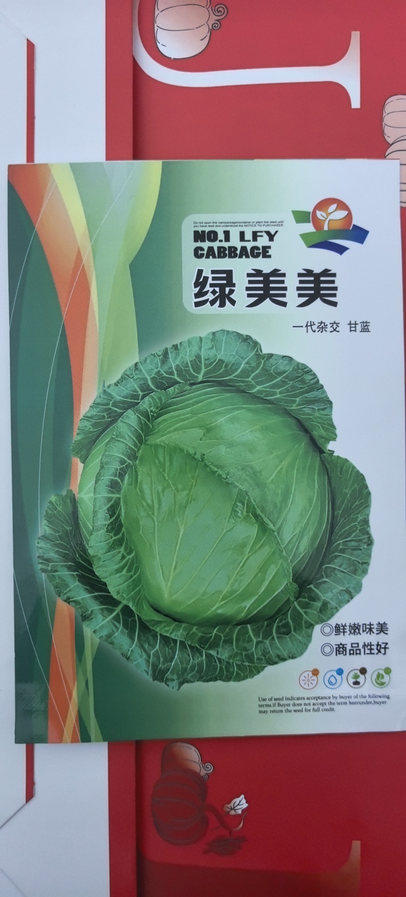 甘蓝种子绿美美高品质大果薄叶脆甘蓝扁球型产量高