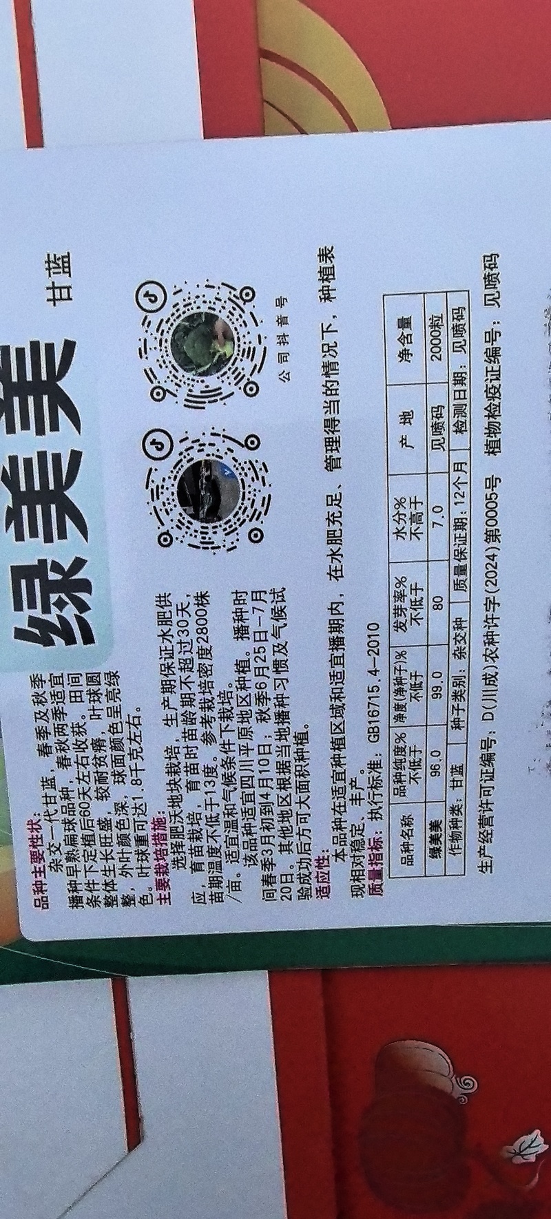 甘蓝种子绿美美高品质大果薄叶脆甘蓝扁球型产量高