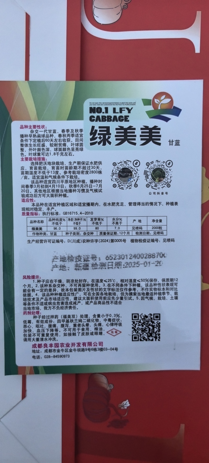 甘蓝种子绿美美高品质大果薄叶脆甘蓝扁球型产量高