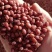 红小豆种子农家赤小豆种籽孑早熟籽种小红豆相思豆豆种孑春季