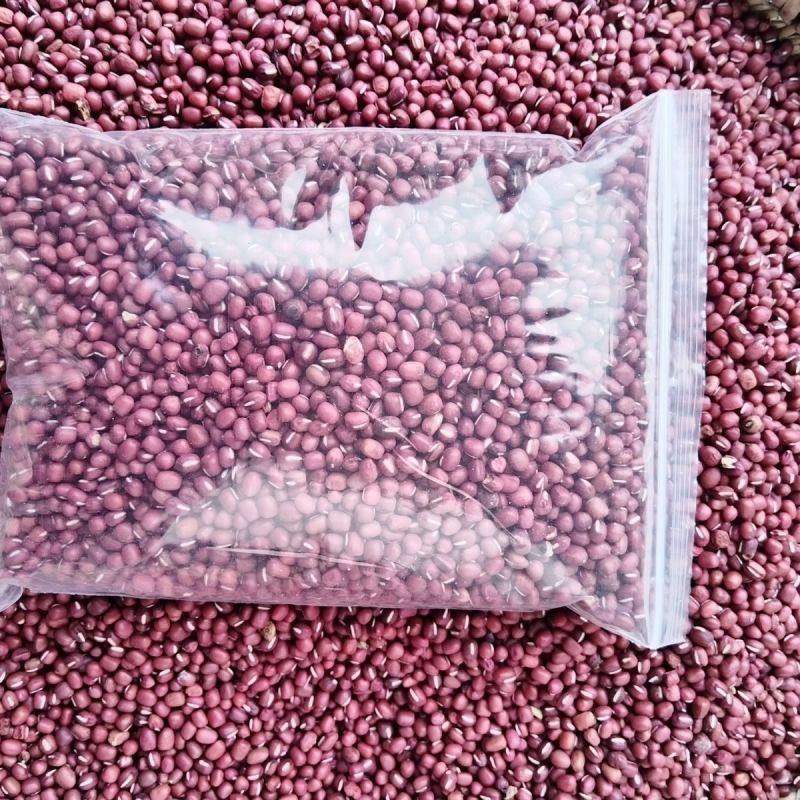 红小豆种子农家赤小豆种籽孑早熟籽种小红豆相思豆豆种孑春季