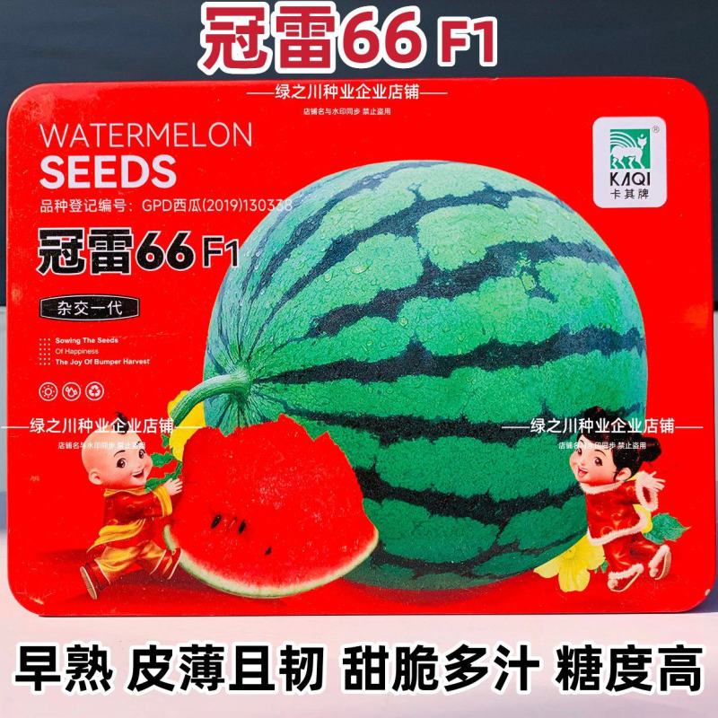 冠雷66西瓜种子早熟糖度高甜脆多汁西瓜种籽皮薄韧蜡粉浓