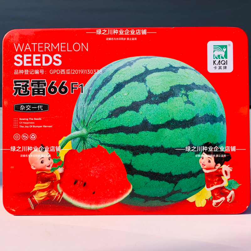 冠雷66西瓜种子早熟糖度高甜脆多汁西瓜种籽皮薄韧蜡粉浓