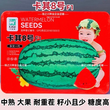 卡其8号大号西瓜种子抗病耐重茬小籽高糖西瓜特大椭圆形西瓜
