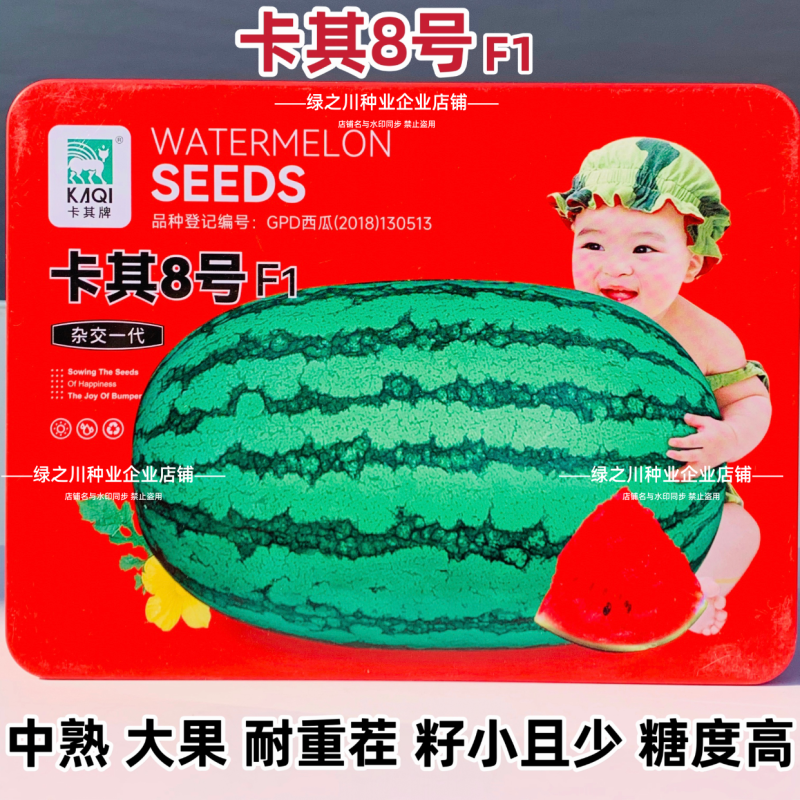 卡其8号大号西瓜种子抗病耐重茬小籽高糖西瓜特大椭圆形西瓜