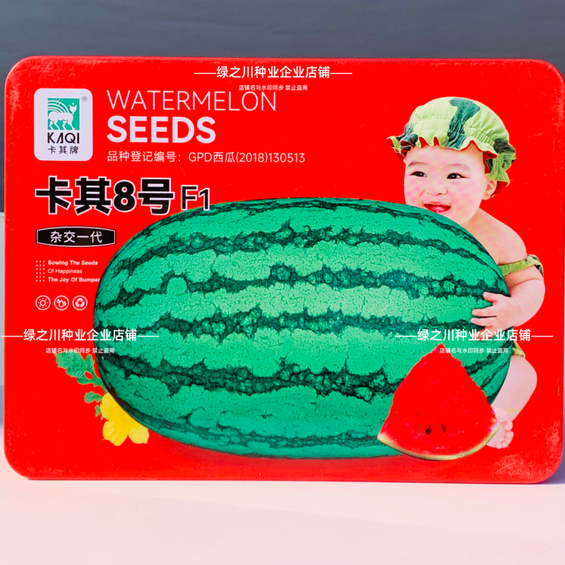 卡其8号大号西瓜种子抗病耐重茬小籽高糖西瓜特大椭圆形西瓜