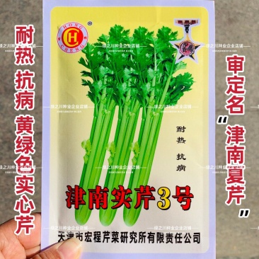津南实芹3号芹菜种子实心芹芹菜种籽耐热实芹籽夏芹四季香芹