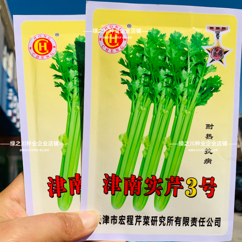 津南实芹3号芹菜种子实心芹芹菜种籽耐热实芹籽夏芹四季香芹