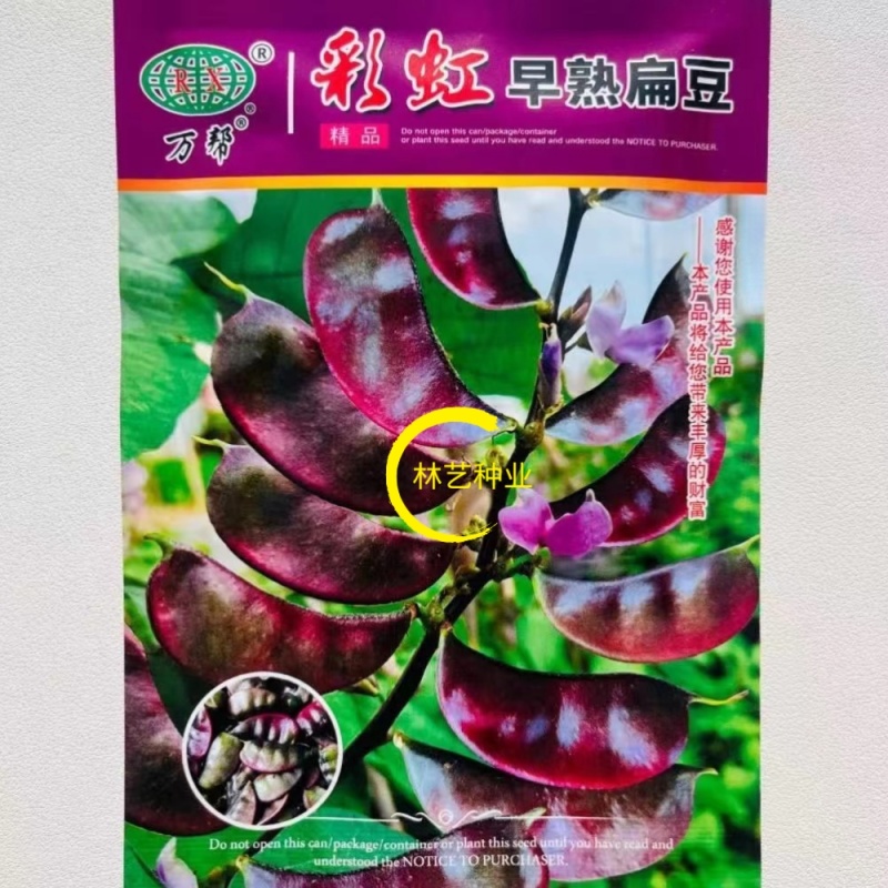 彩虹早熟扁豆种子荚红绿厚肉高产抗逆采收期长农家春夏播