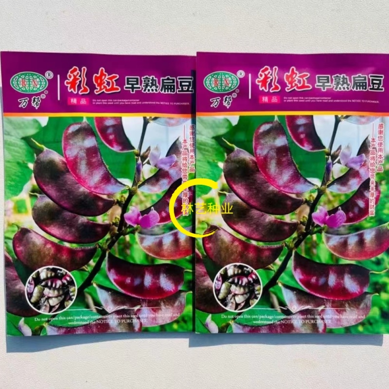 彩虹早熟扁豆种子荚红绿厚肉高产抗逆采收期长农家春夏播