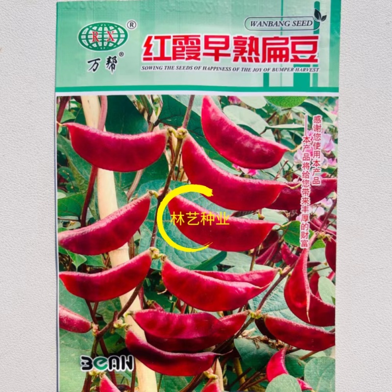 万帮红霞早熟扁豆种子结荚多耐老豆角眉豆种籽农家庭院春季蔬