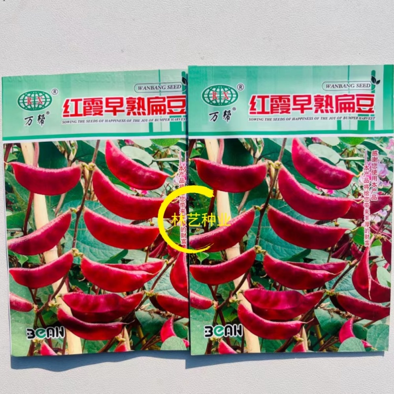 万帮红霞早熟扁豆种子结荚多耐老豆角眉豆种籽农家庭院春季蔬