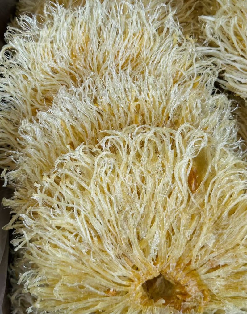 菊花翅特大号