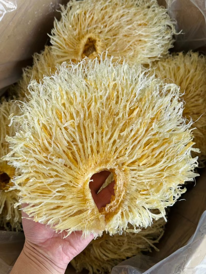 菊花翅特大号