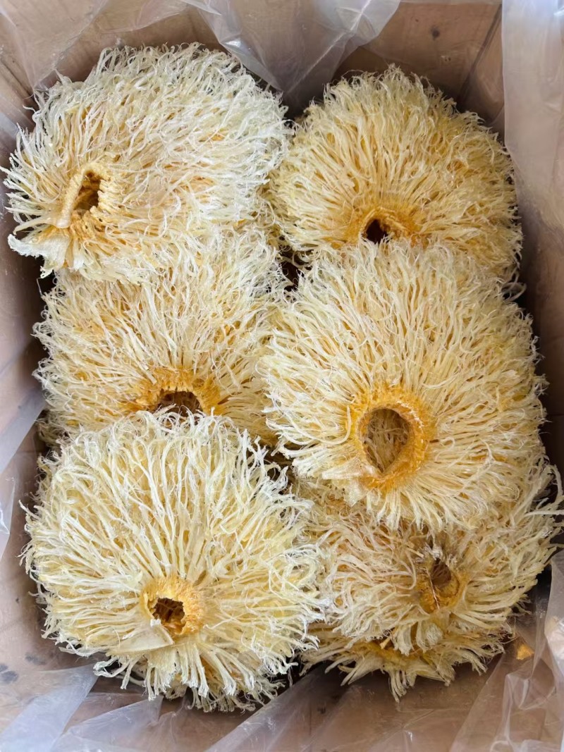 菊花翅特大号