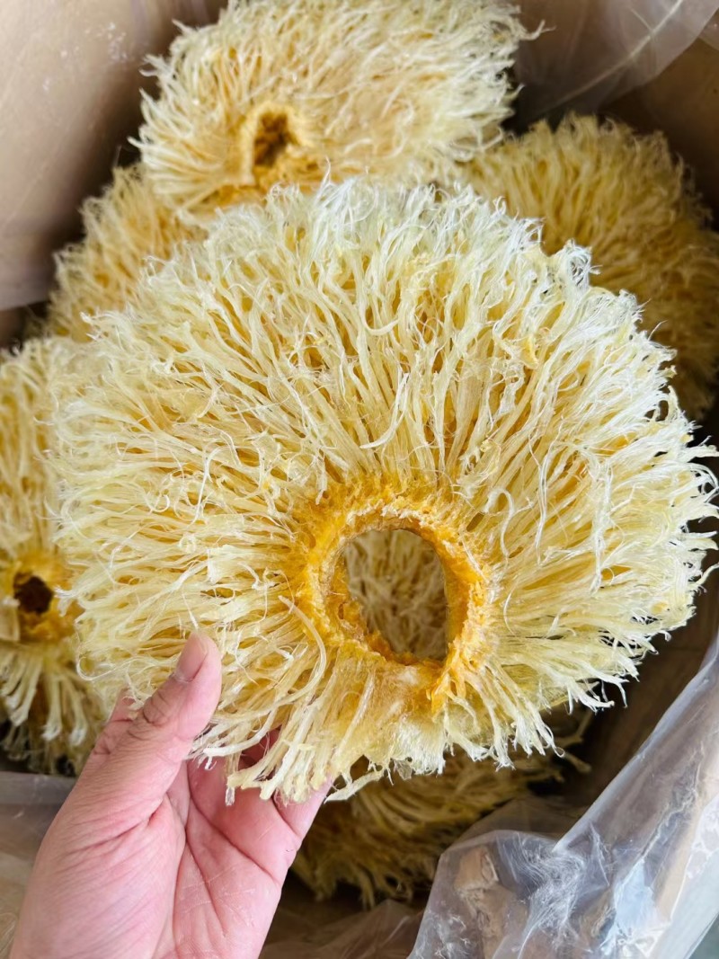 菊花翅特大号
