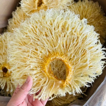 菊花翅特大号