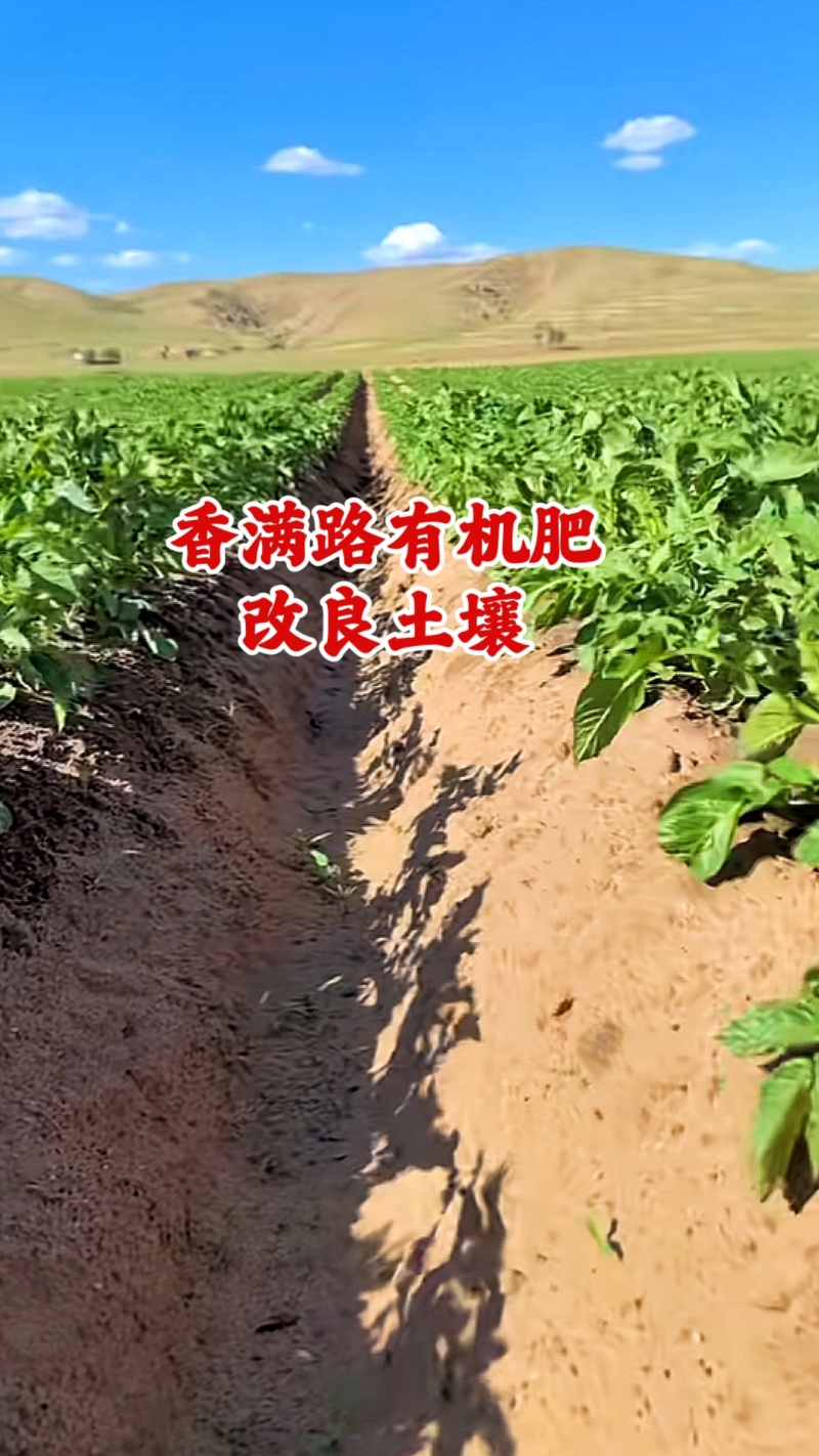 济南鸡粪,聊城发酵鸡粪,淄博干鸡粪,稻壳鸡粪,青岛鸡粪