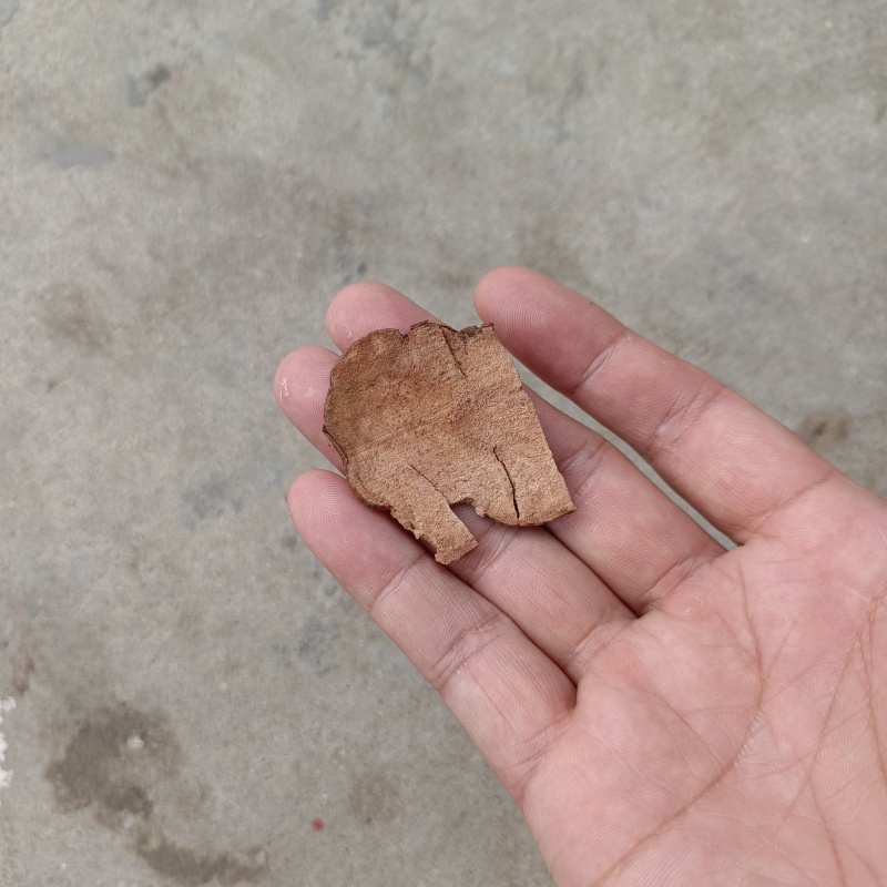 野生土茯苓，红肉，白肉的都有几千吨