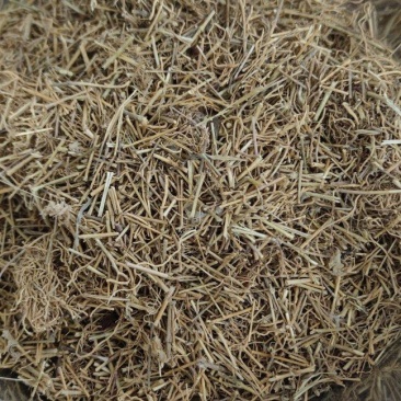 徐长卿中药材批发量大从优诚信经营
