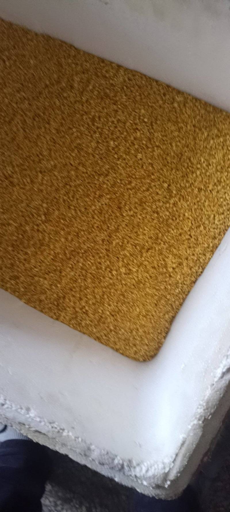 桂林全州县绍水镇锋哥各种种品种干桂花