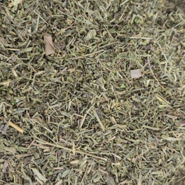 珍珠透骨草中药材批发量大从优诚信经营