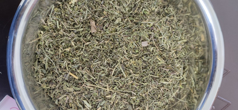 珍珠透骨草中药材批发量大从优诚信经营