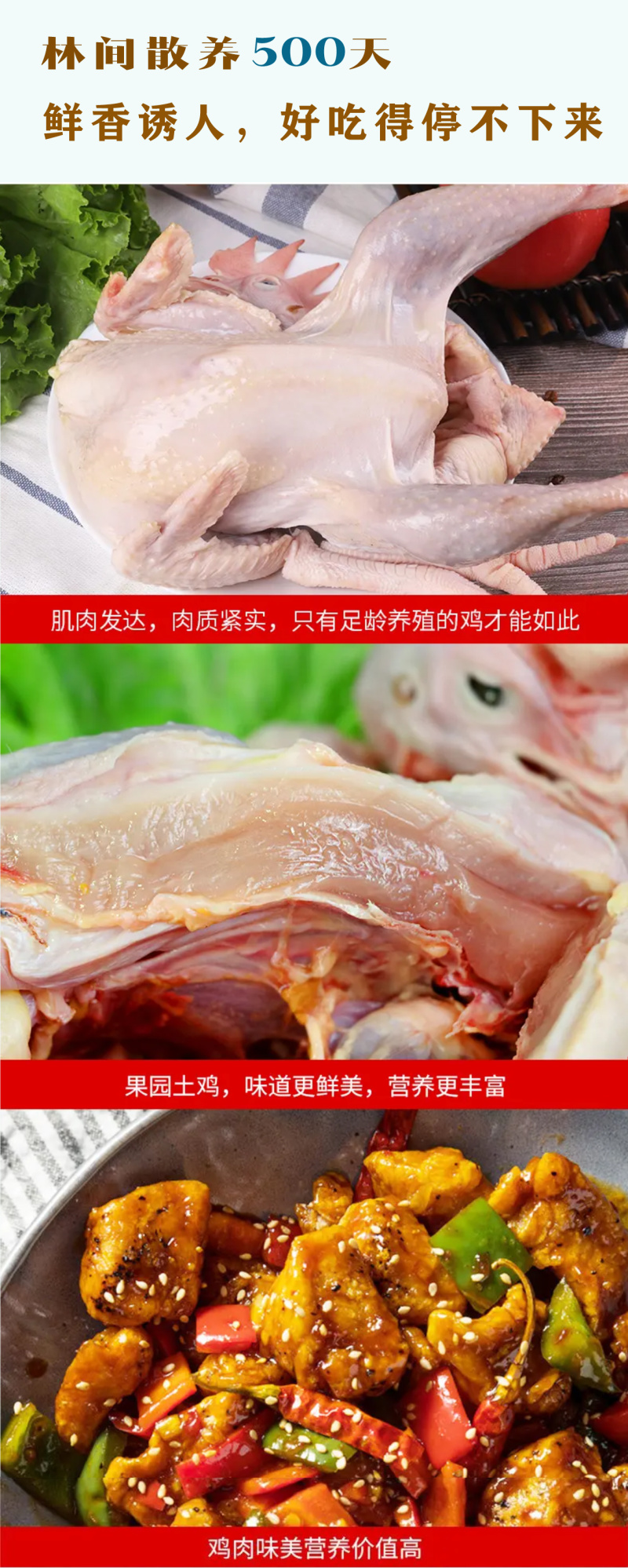 【散养土鸡】京山散养土鸡基地直供，现杀现发，全国可发
