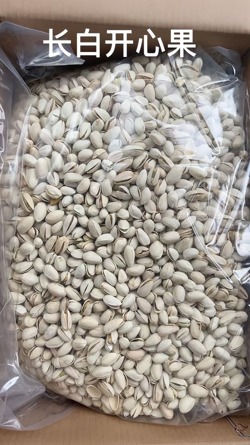 开心果批发大量现货产地直发品质保证价格漂亮一手货源