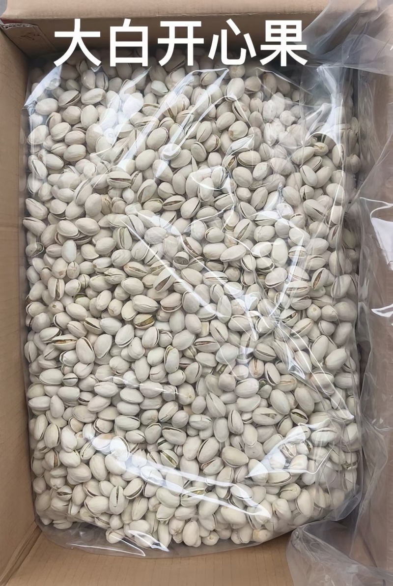 开心果批发大量现货产地直发品质保证价格漂亮一手货源