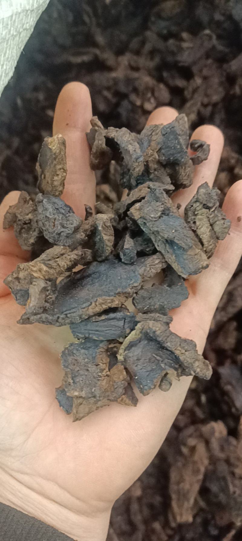 生地，各种中药材名贵药材冷背药材代加工实物拍摄物美价廉