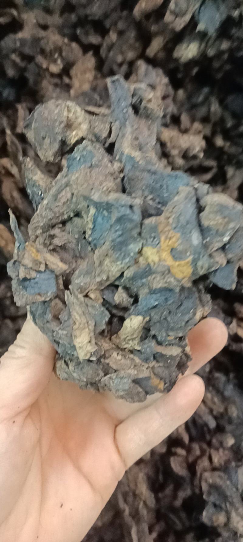 生地，各种中药材名贵药材冷背药材代加工实物拍摄物美价廉