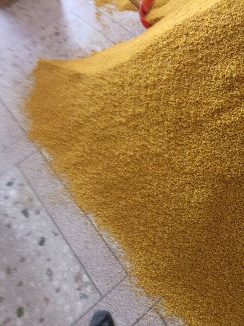 桂林全州县绍水镇锋哥各种种品种干桂花