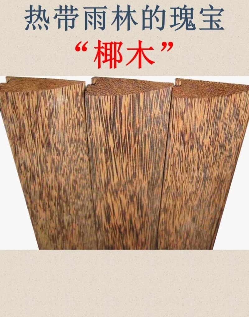 椰子树杆，椰子木，椰子杆，椰子木头，椰子树木，椰子实木