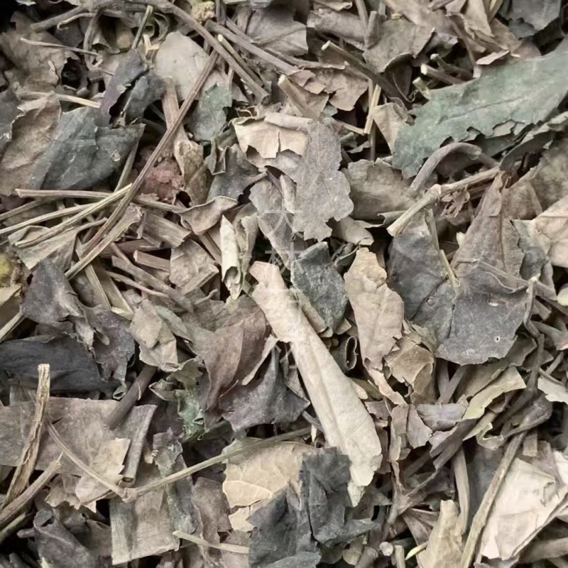 石楠藤【包邮】三斤起发货可批量可零售量大从优